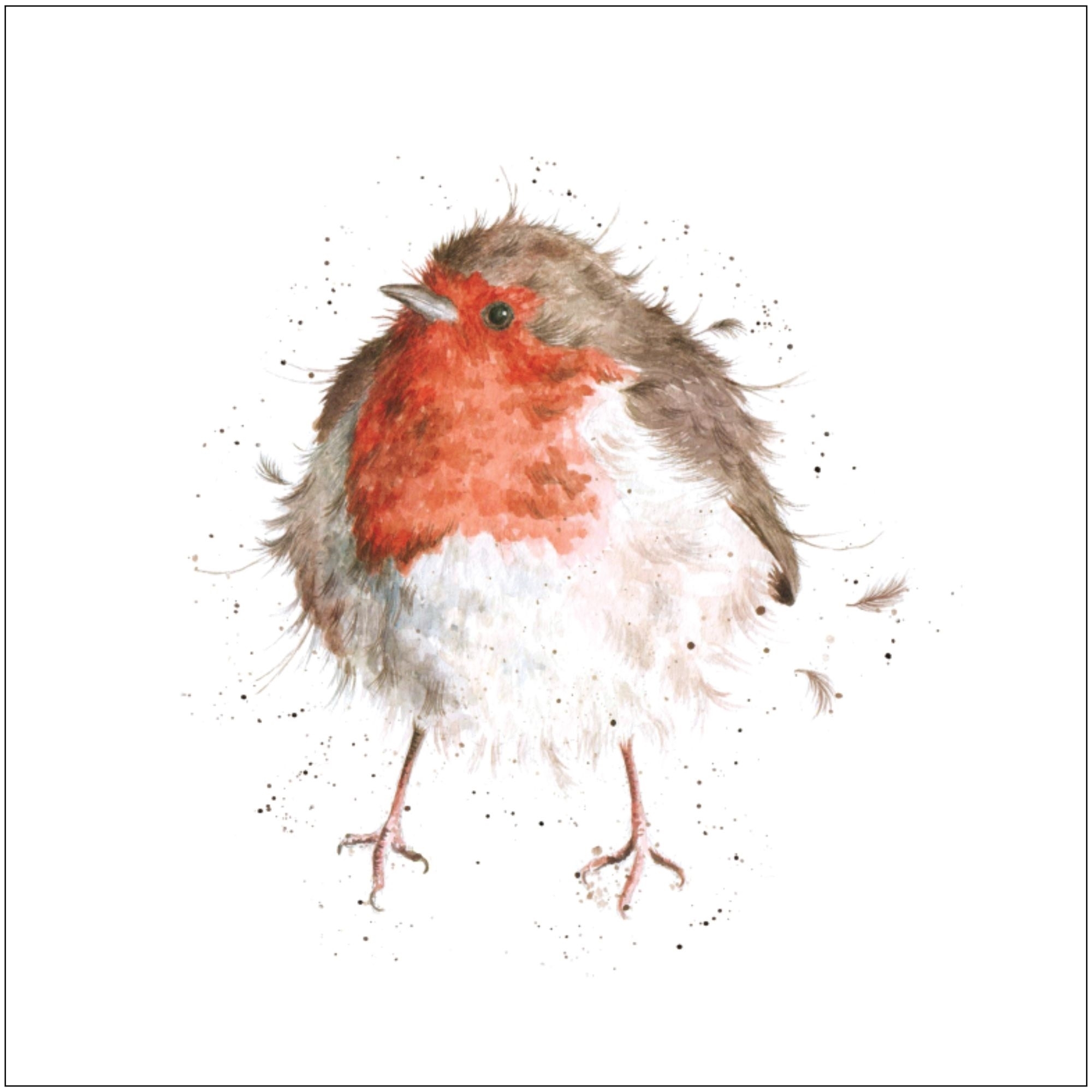 Robin Duftsachet Hannah Dale Edition LAROMA SUISSE 12x12cm