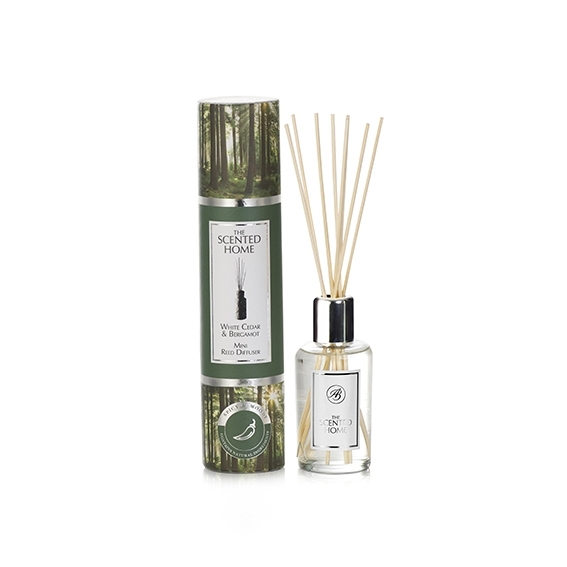 White Cedar & Bergamotte 50ml Reed Diffuser edle Verpackung Ashleigh Burwood