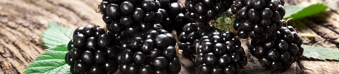 Brombeere