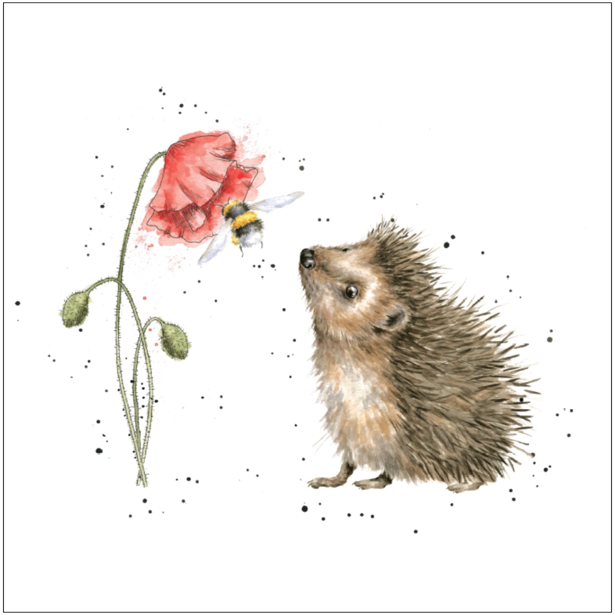 Igel Duftsachet Hannah Dale Edition LAROMA SUISSE 12x12cm