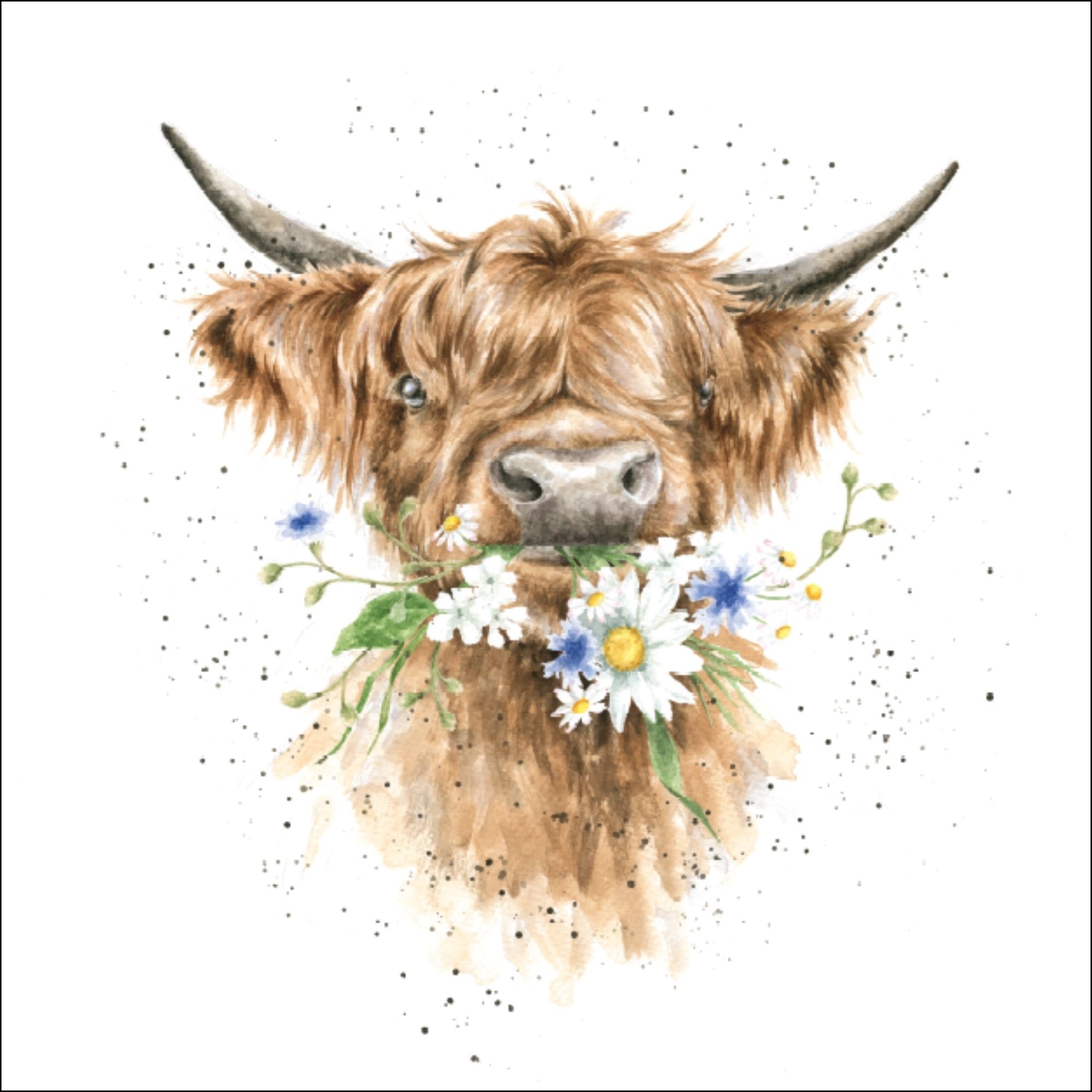 Kuh Daisy Duftsachet Hannah Dale Edition LAROMA SUISSE 12x12cm