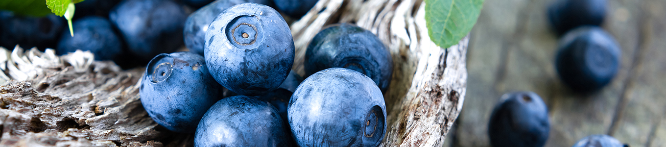 Blaubeeren