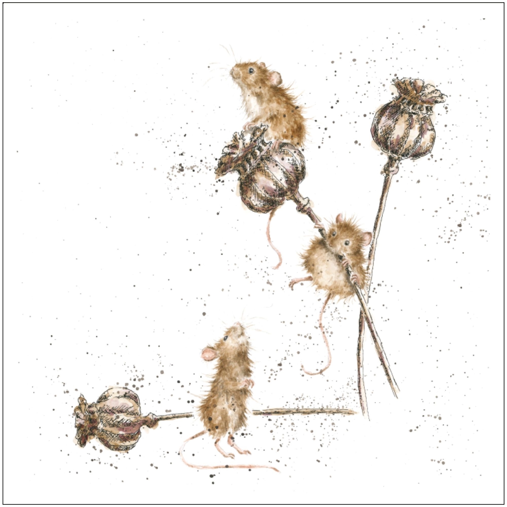 Mäuse Duftsachet Hannah Dale Edition LAROMA SUISSE 12x12cm