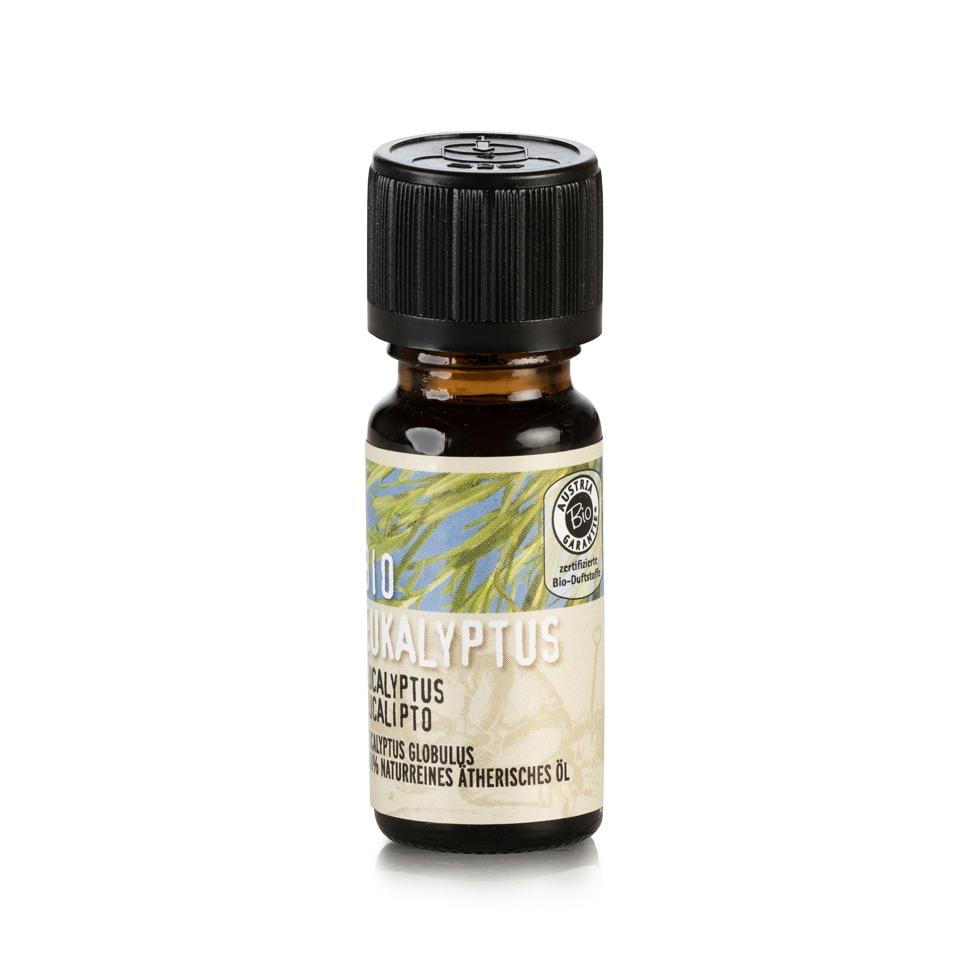 BIO Eukalyptus 100% Ätherisches Öl AM 10 ml