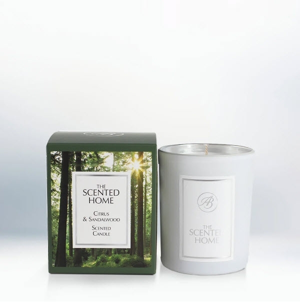 Citrus & Sandalwood Duftkerze 170g im Glas The Scented Home Ashleigh & Burwood
